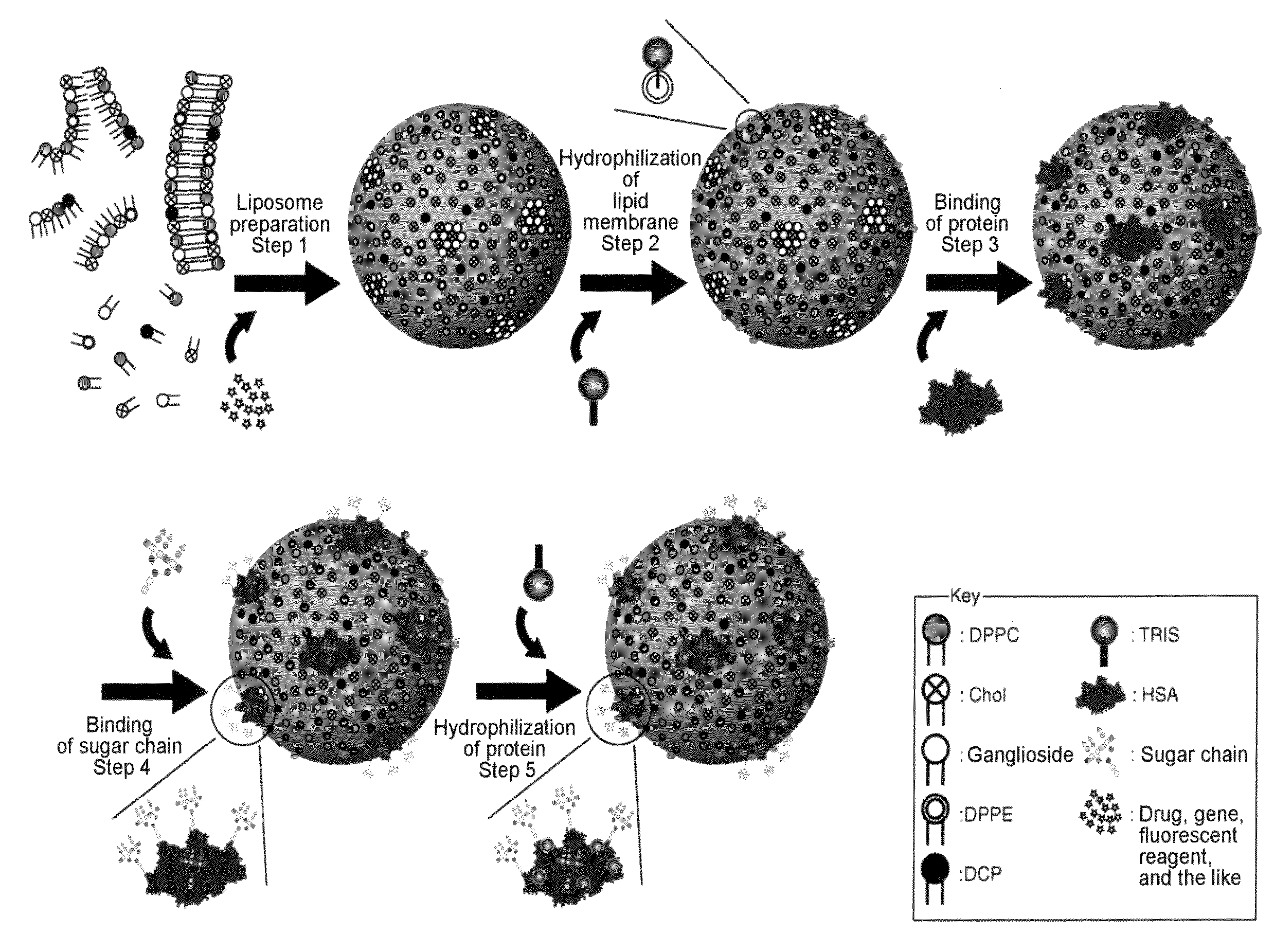 Design of Delivery Vehicle Based On Rolling Model