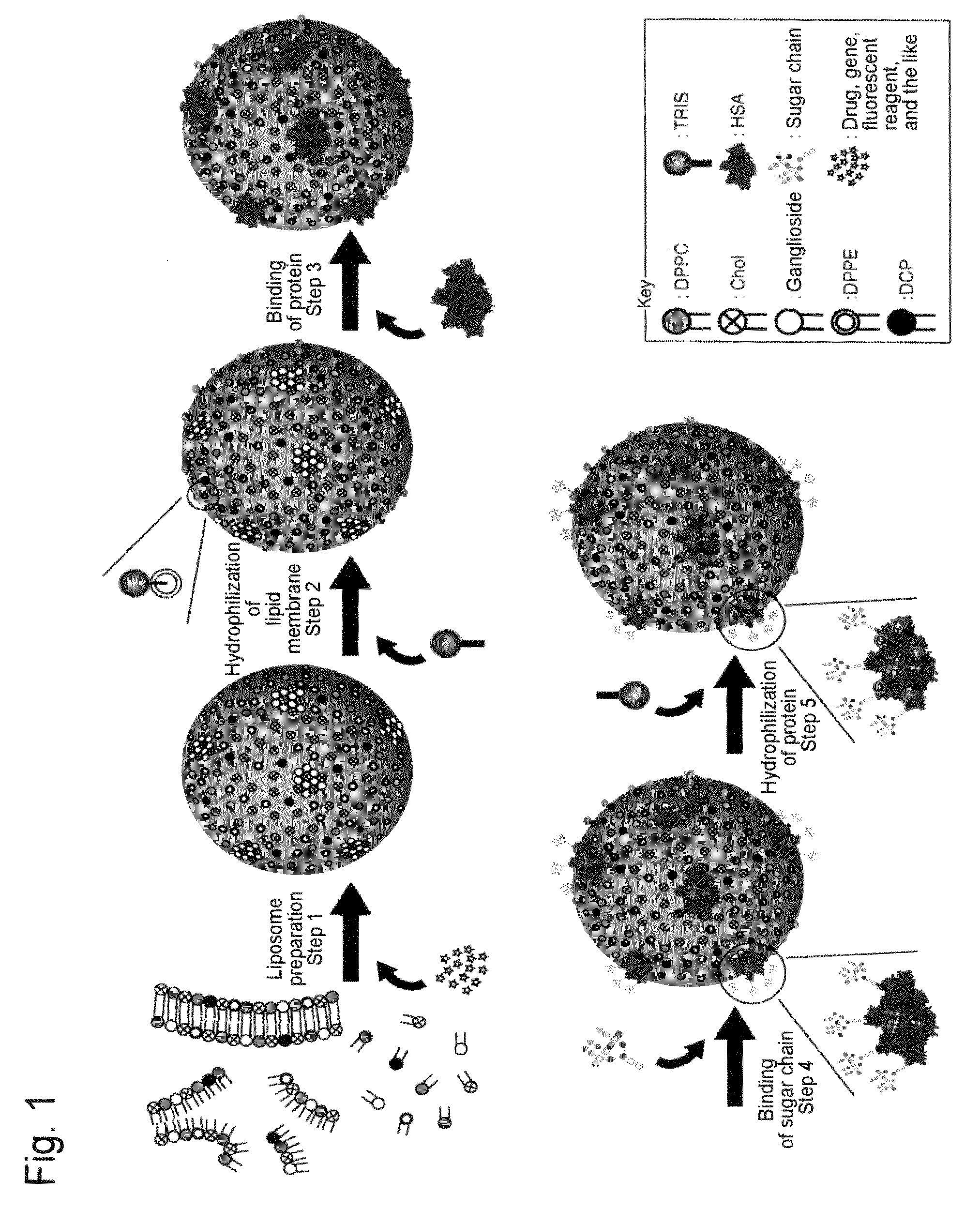 Design of Delivery Vehicle Based On Rolling Model