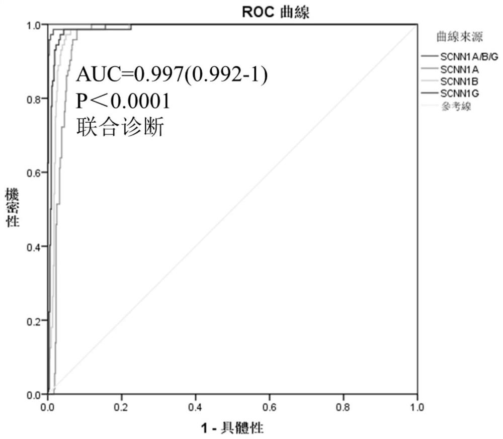 SCNN1 primer and diagnostic kit for clear cell nuclear cell carcinoma and application of SCNN1 primer