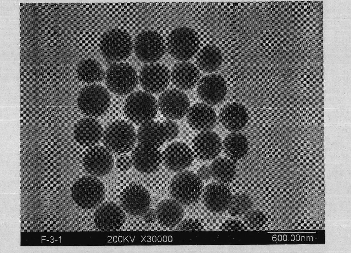 Method for preparing core-shell structured SiO2/Fe3O4 compound magnetic particle