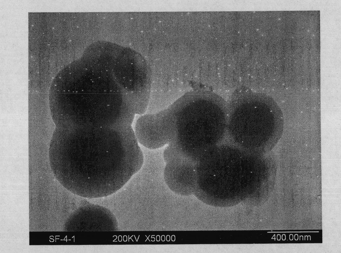 Method for preparing core-shell structured SiO2/Fe3O4 compound magnetic particle