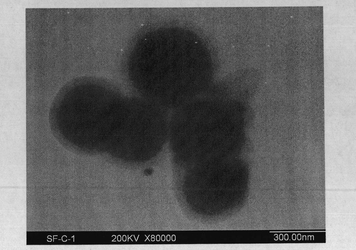 Method for preparing core-shell structured SiO2/Fe3O4 compound magnetic particle