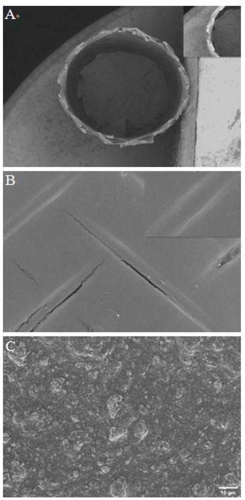 Urethral stent with long-acting antibacterial and anti-stenosis functions and preparation method thereof