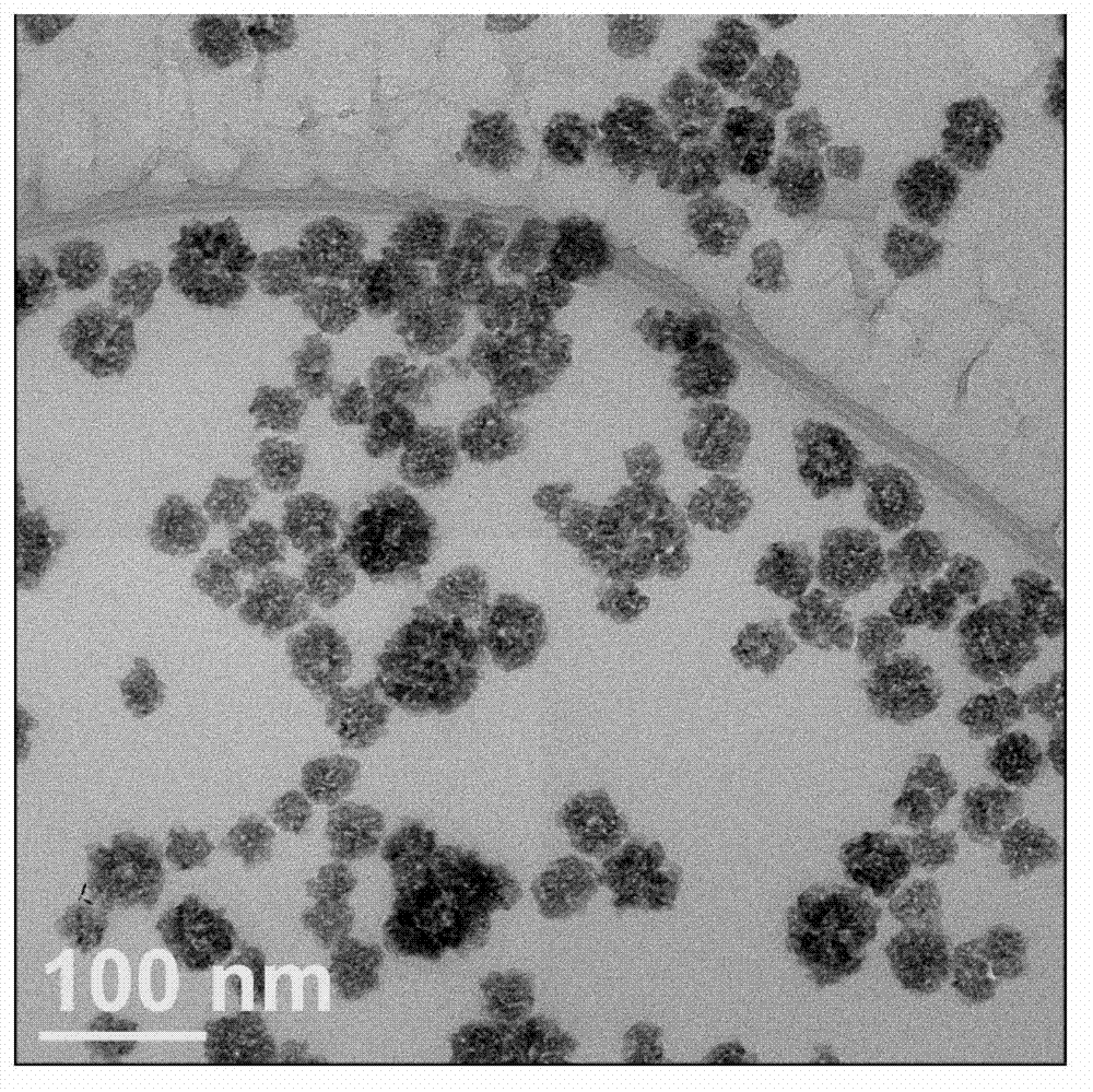 Preparation method of precious metal nano-particles