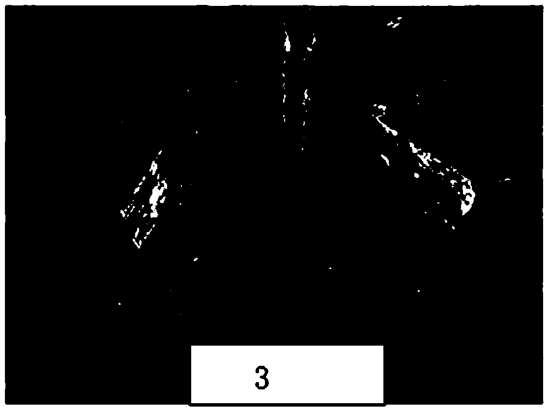 Preparation method of artificial rock core of jointing shale