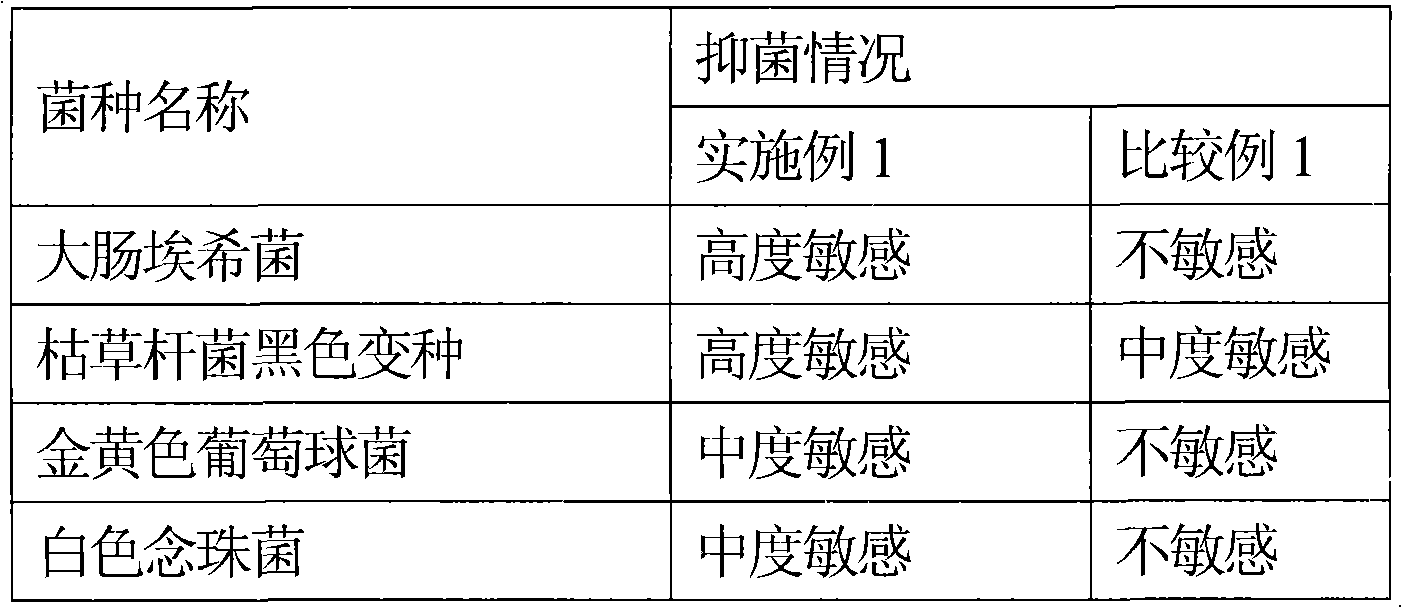 Nano-composite emulsion product and preparation method thereof