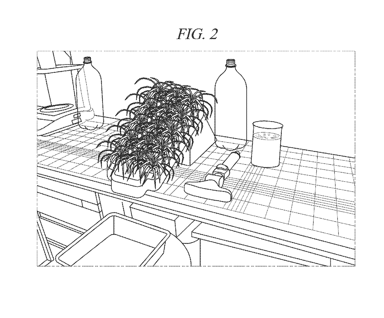 Soil stabilization and improvement method using biopolymer