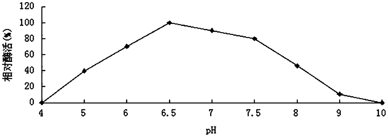 High xylose tolerance bifunctional hemicellulose degrading enzyme, its coding gene and its preparation method