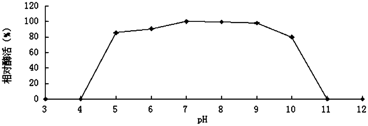 High xylose tolerance bifunctional hemicellulose degrading enzyme, its coding gene and its preparation method