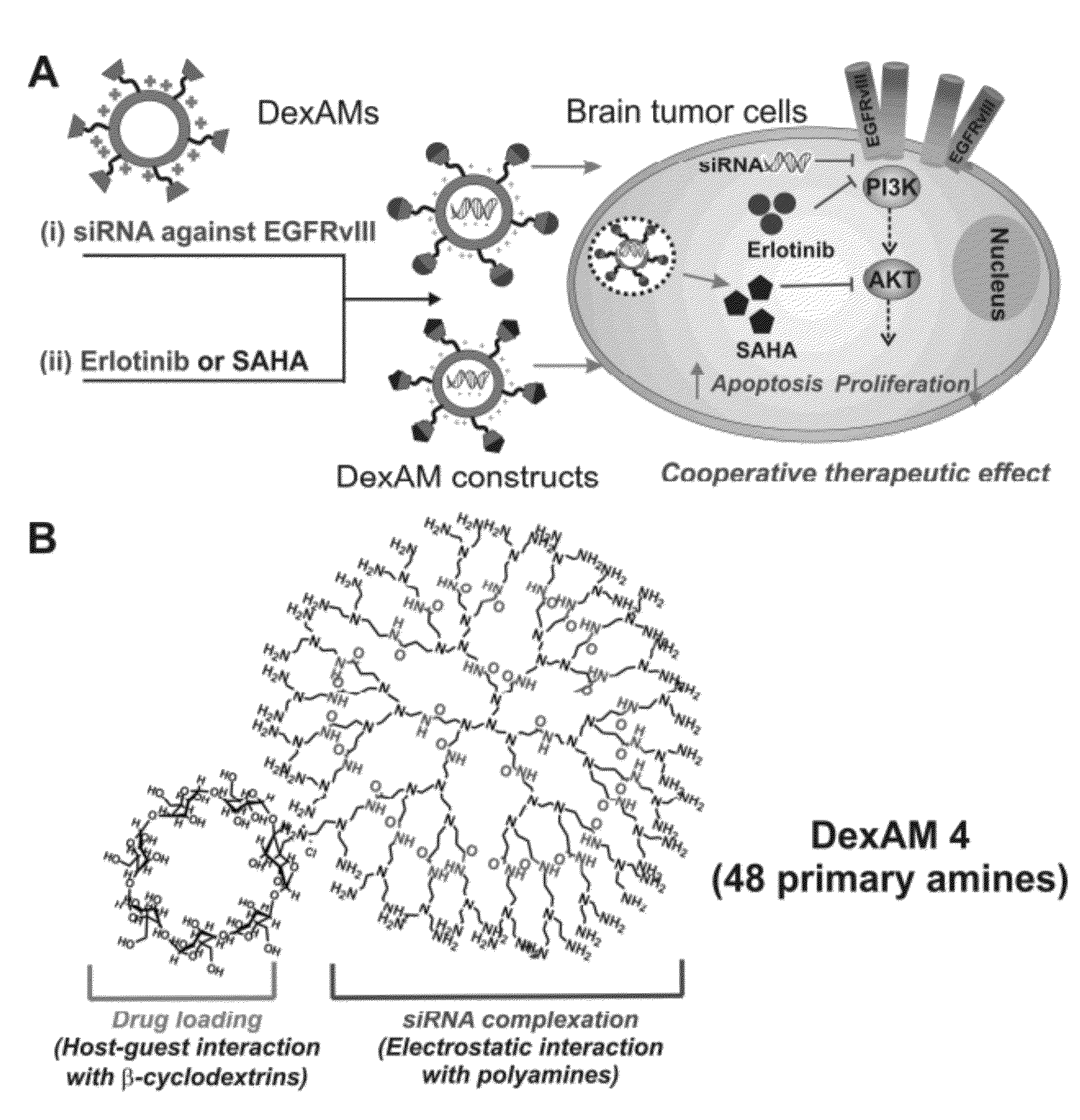 Cyclodextrin-modified polyamines for delivery of therapeutic molecules