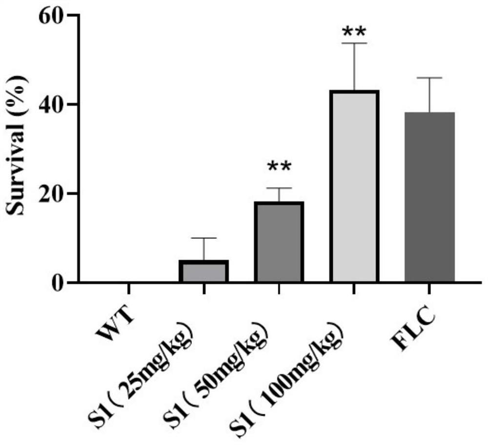 Application of polycyclic aryl compound in preparation of antifungal drugs