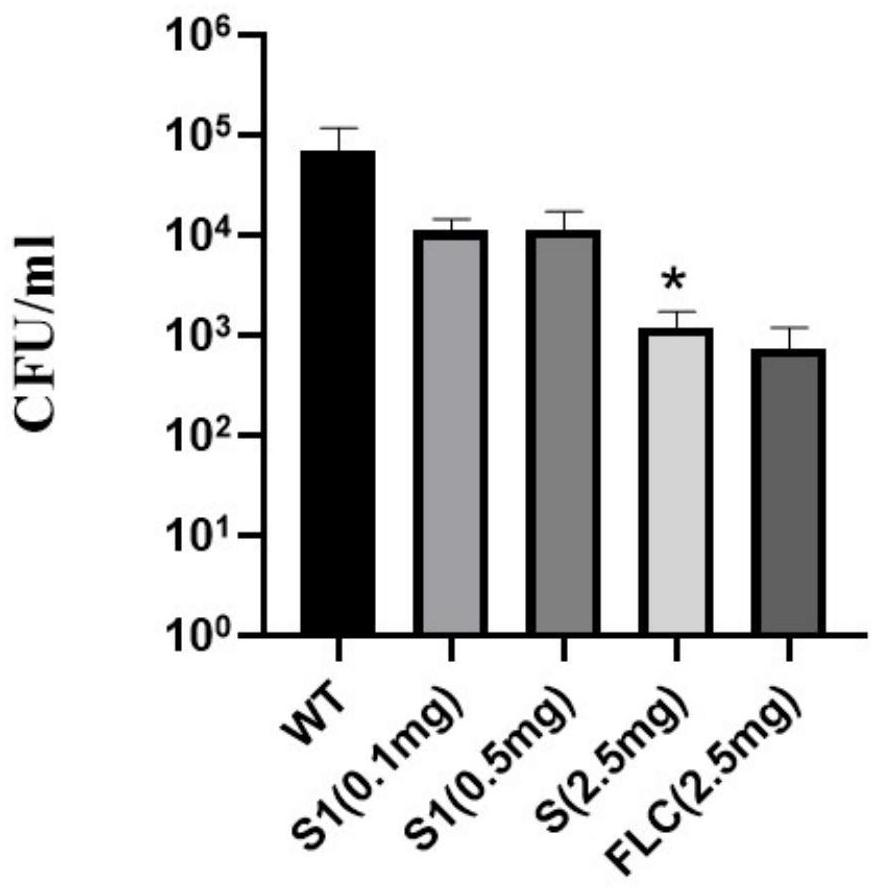 Application of polycyclic aryl compound in preparation of antifungal drugs