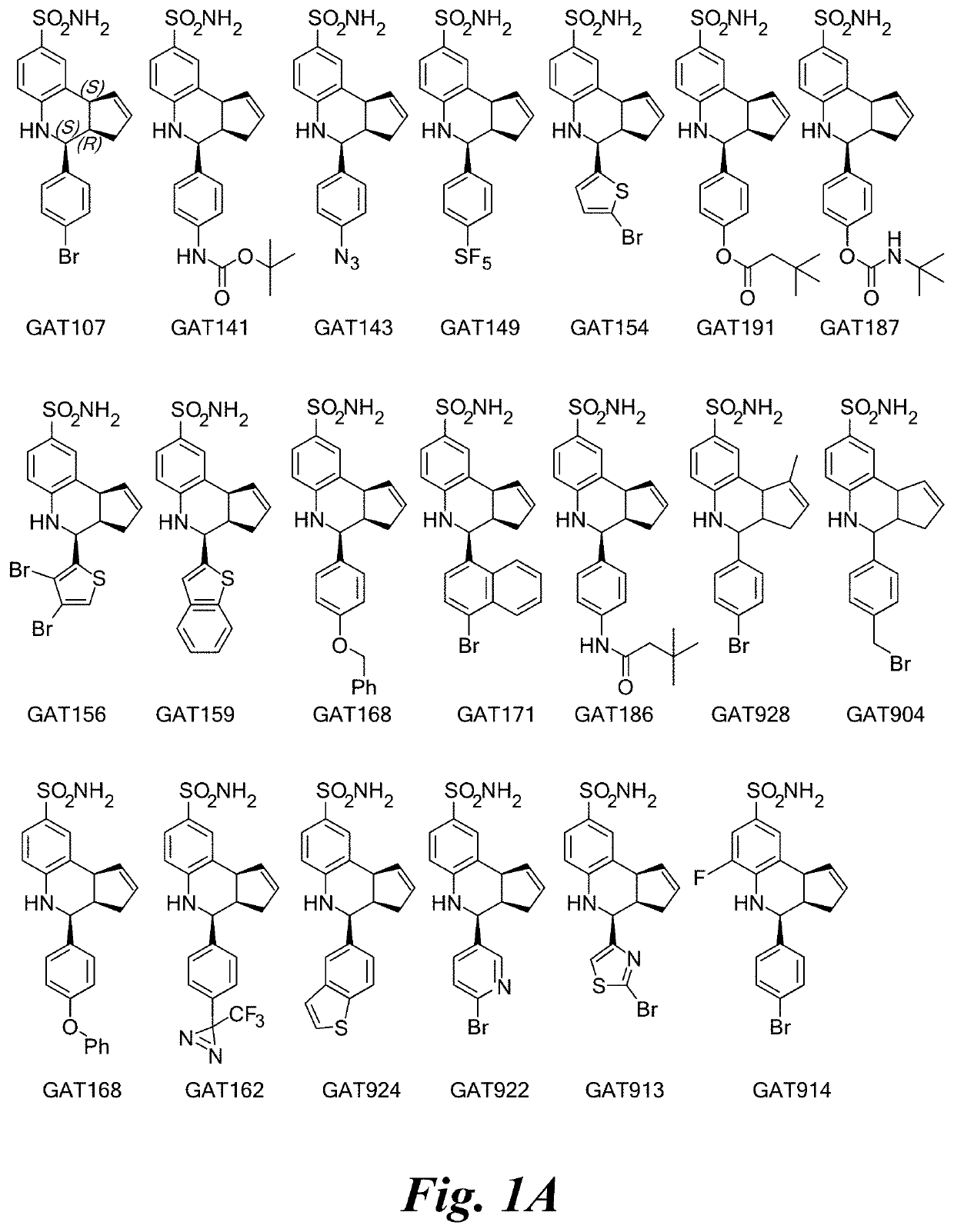 Ligands for alpha-7 nicotinic acetylcholine receptors and methods of treating neurological and inflammatory conditions