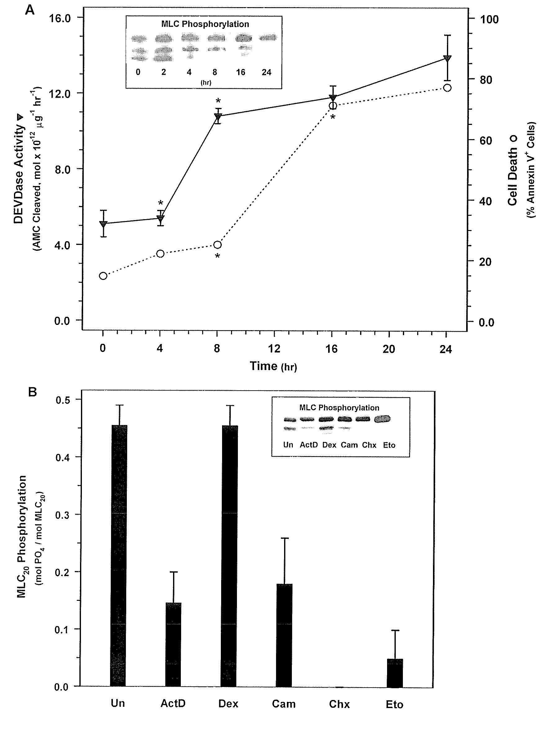 Prevention of Cell Proliferation by Inhibiting Myosin Light Chain Kinase