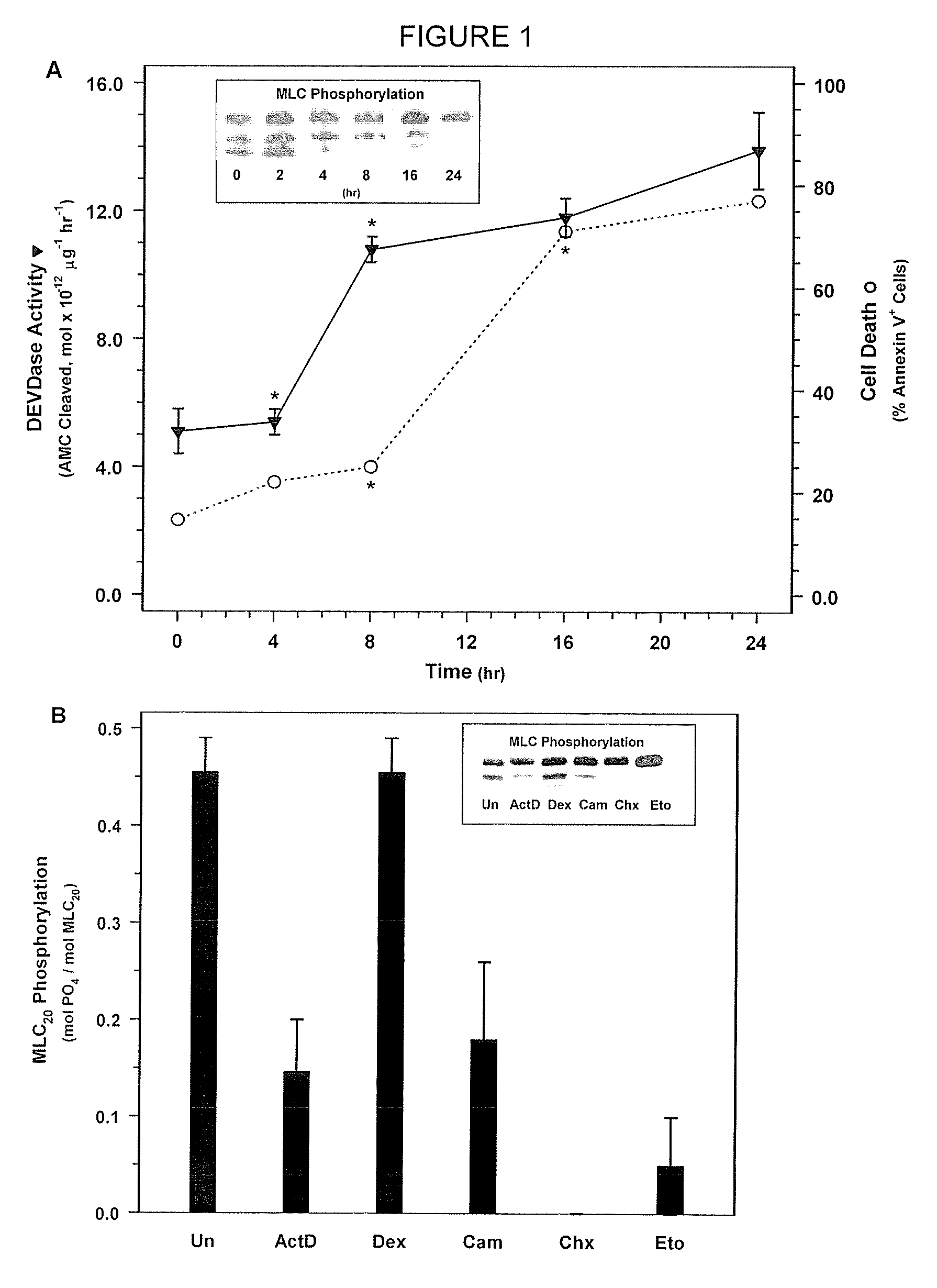 Prevention of Cell Proliferation by Inhibiting Myosin Light Chain Kinase