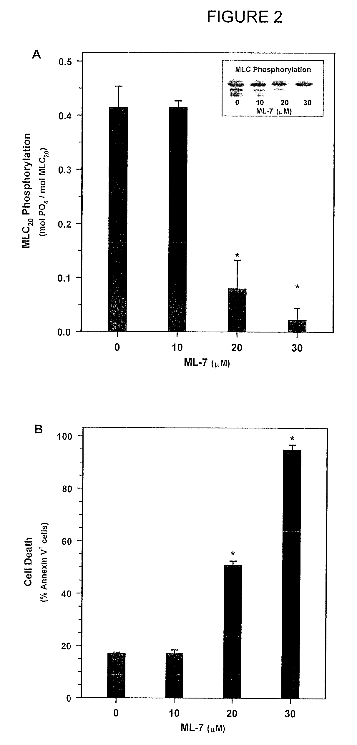 Prevention of Cell Proliferation by Inhibiting Myosin Light Chain Kinase