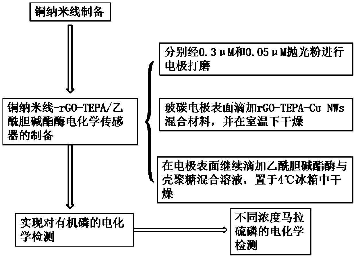 Preparation of acetylcholinesterase biosensor and application to organic phosphorus detection