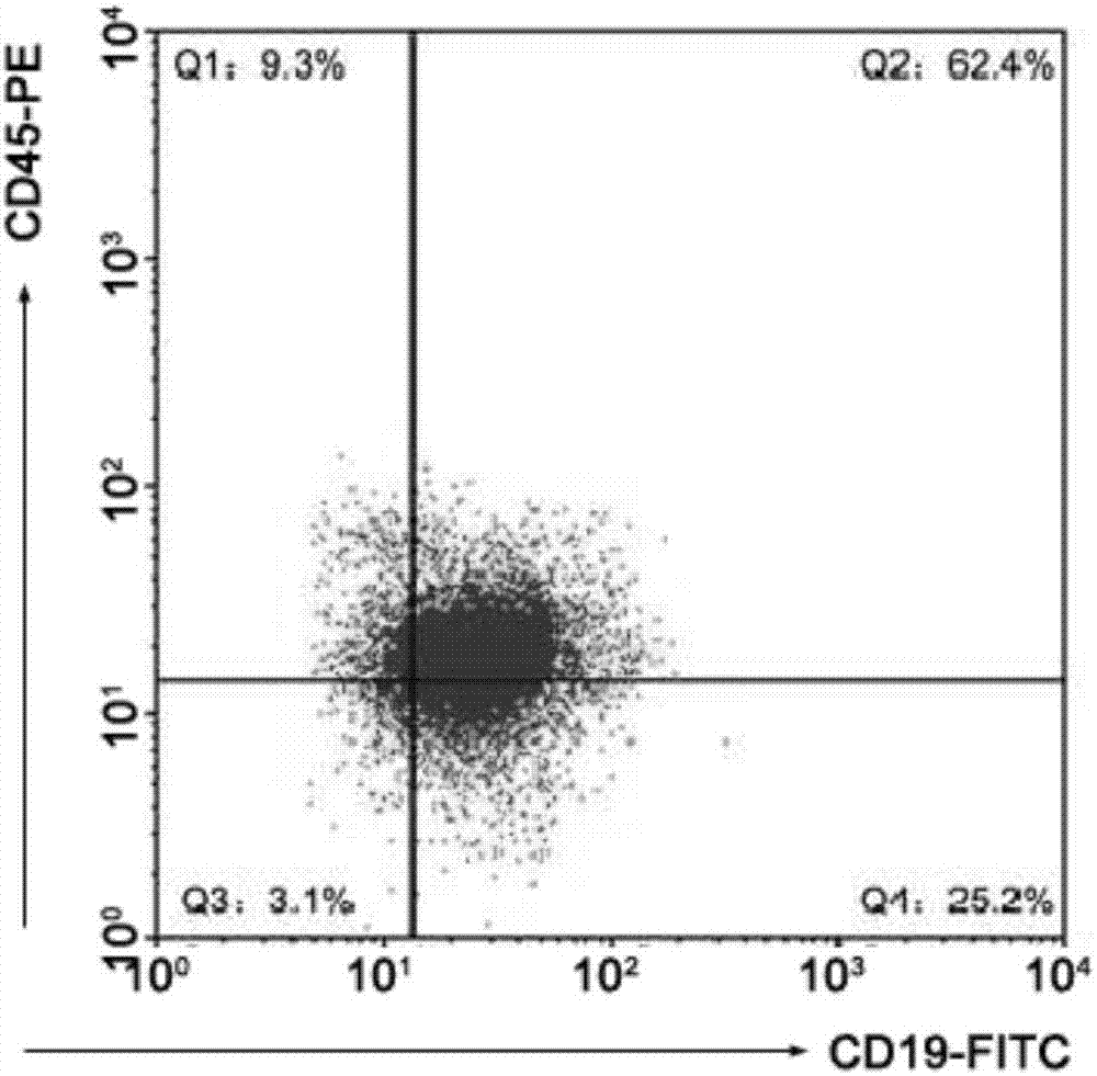 Method for identifying, separating and culturing lymphoma stem cells from non-Hodgkin lymphoma cell line