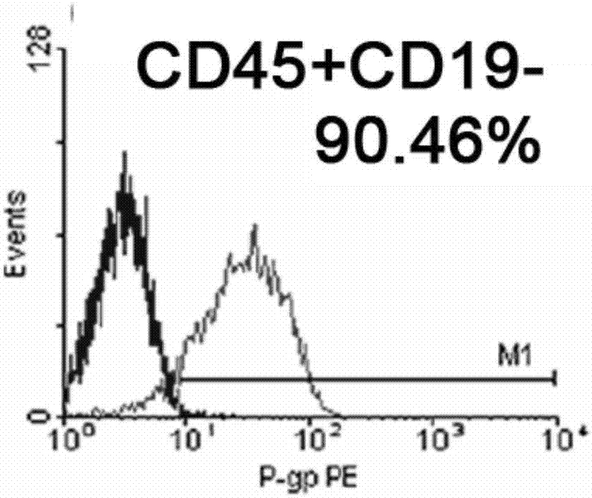 Method for identifying, separating and culturing lymphoma stem cells from non-Hodgkin lymphoma cell line