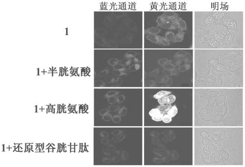 A reactive fluorescent probe for distinguishing sulfhydryl compounds and its synthesis method and application