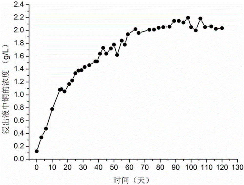 Method for disposing fine-grain-containing tailings on basis of biological lamina heap construction