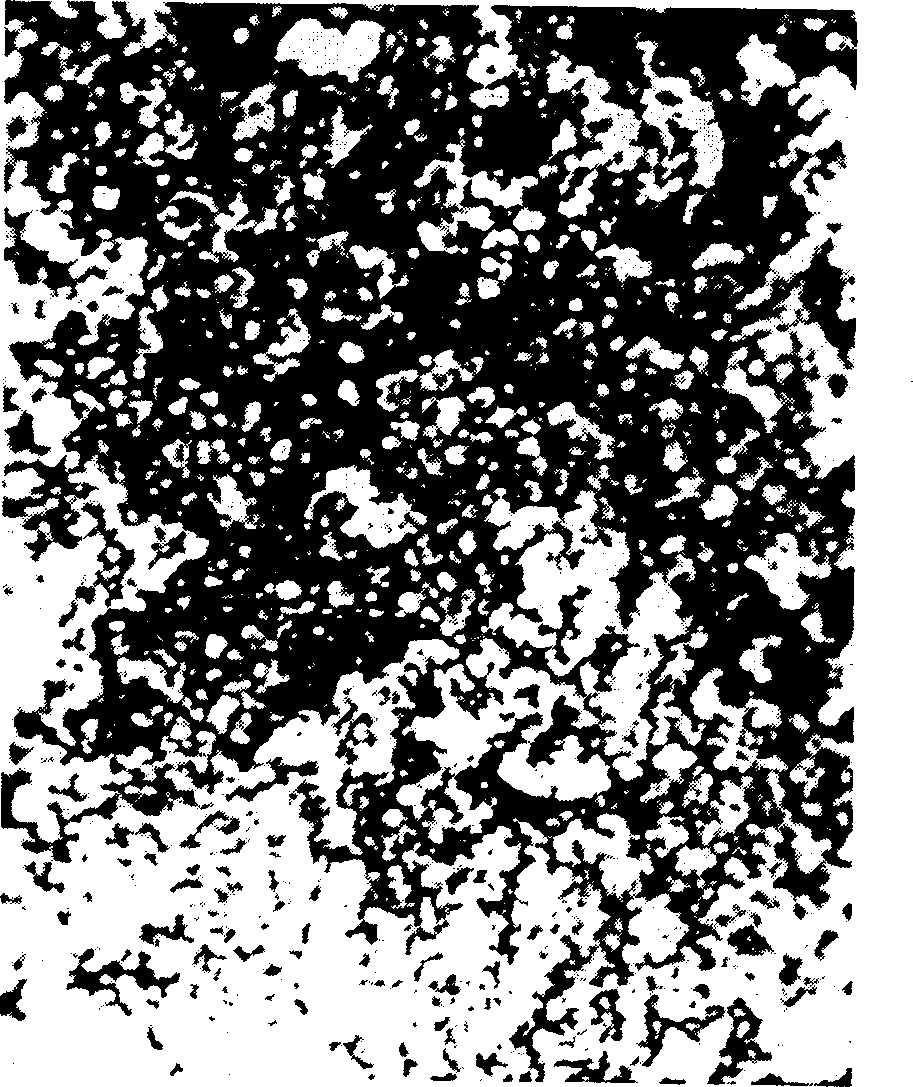 Method for preparing porous nano solid by using hot pressing technique through controllable vaporized solvent