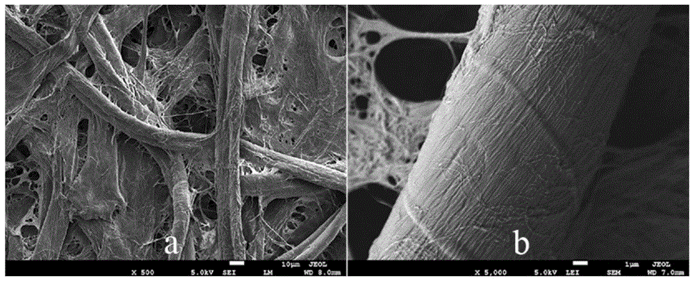 Preparation method of cellulose hydrophobic material