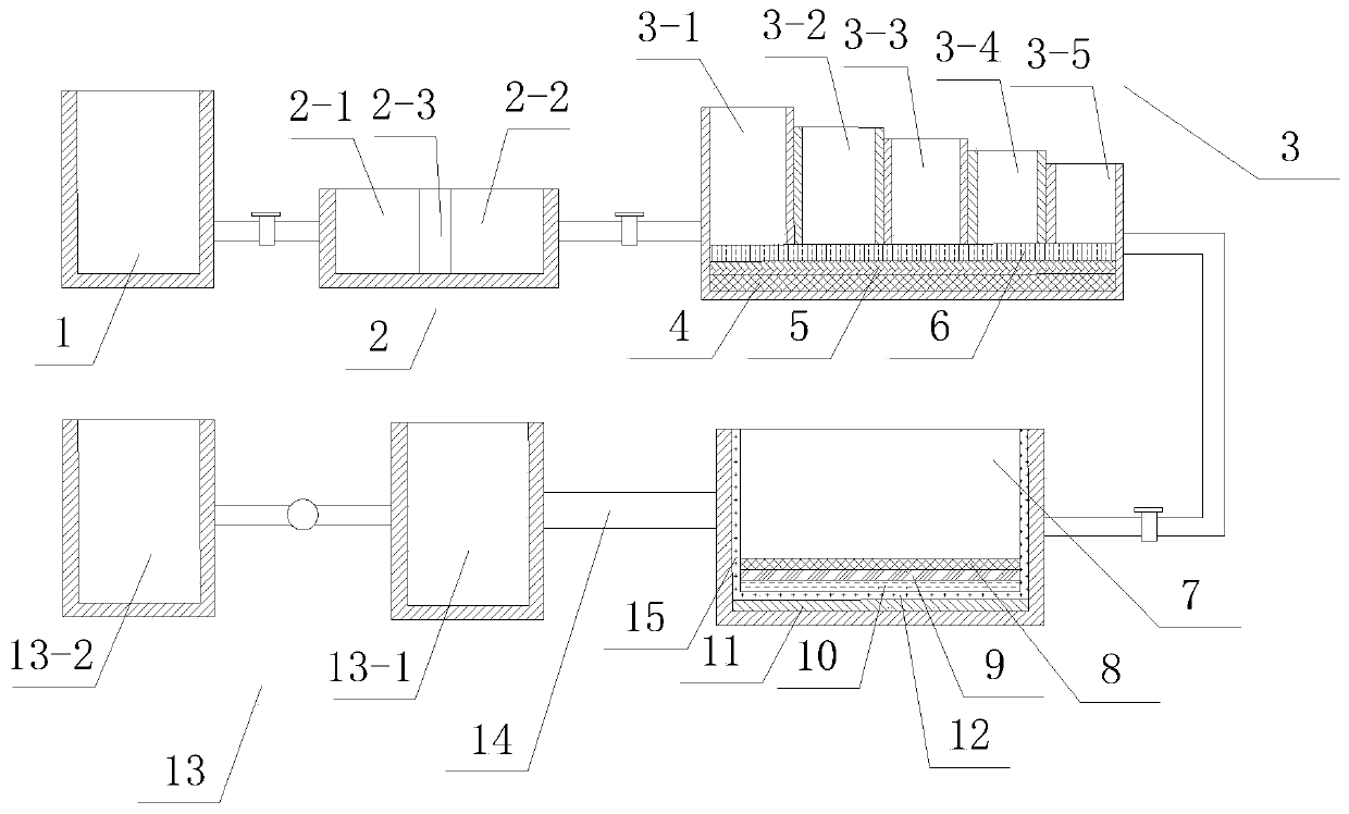 Constructed wetland for sewage treatment and plant configuration method thereof