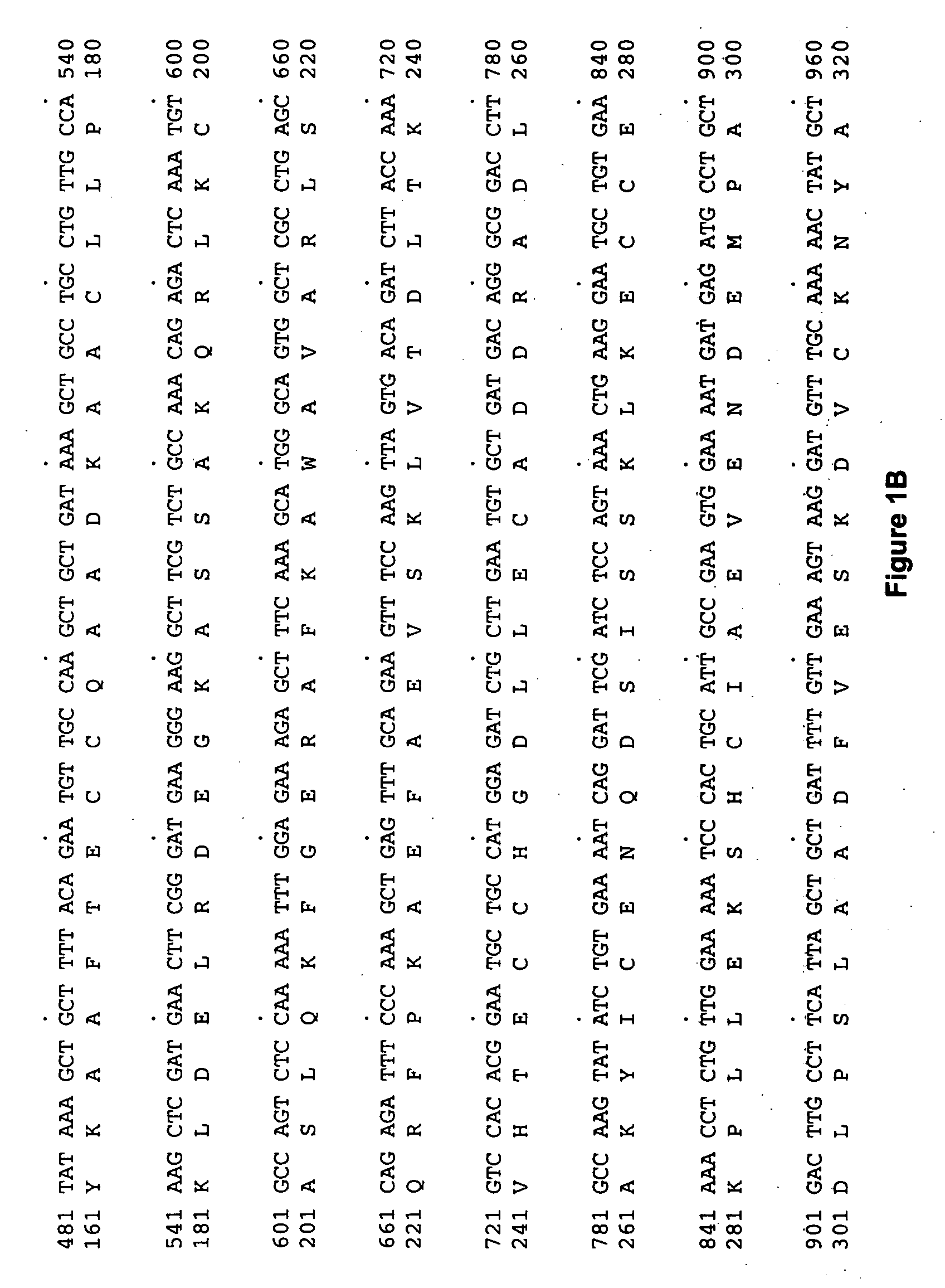 Albumin fusion proteins