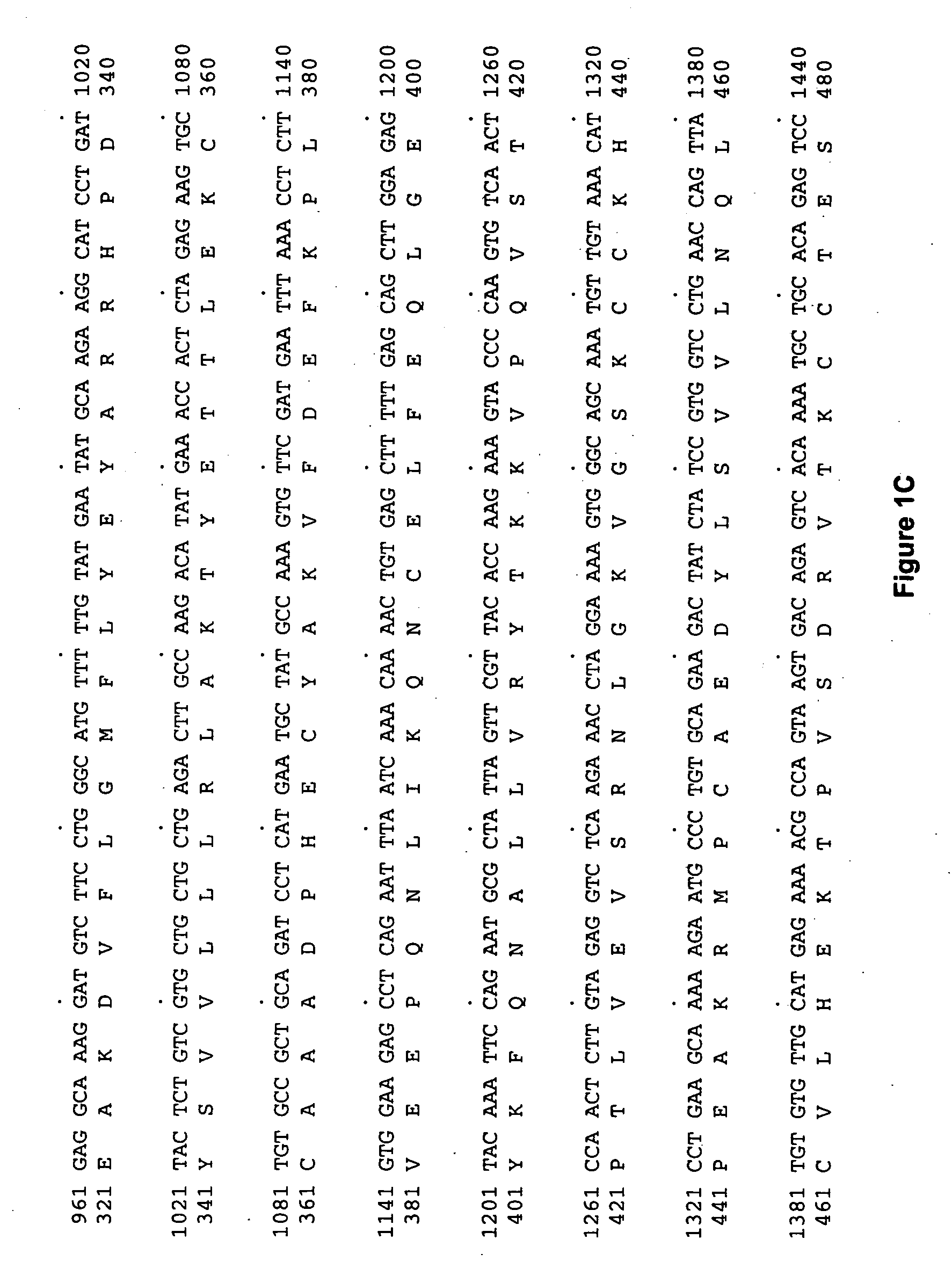 Albumin fusion proteins