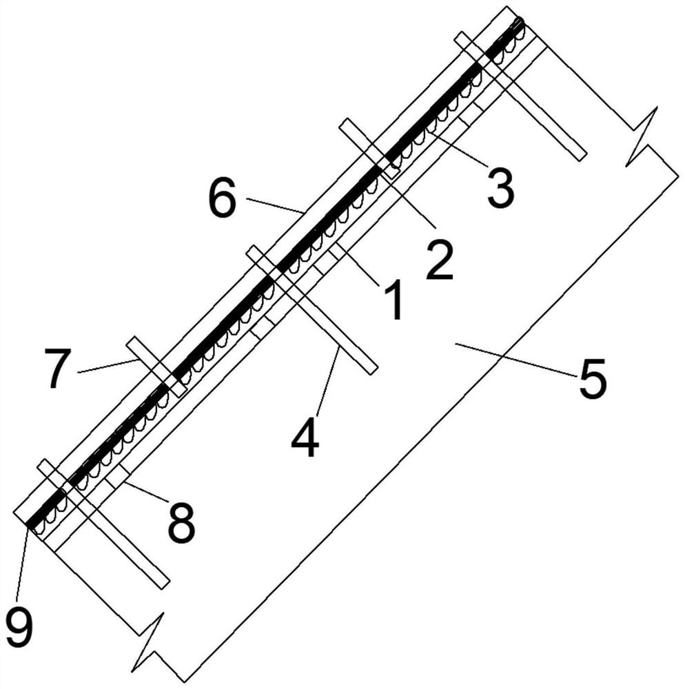 Fruit and mud composite type ecological slope protection structure and construction method thereof