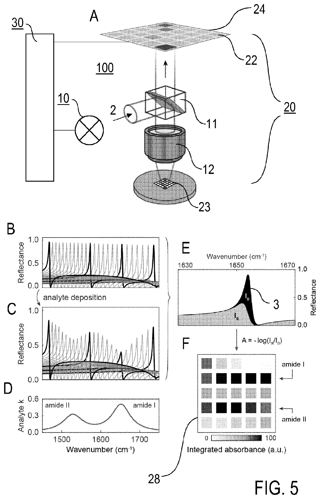 Method and spectrometer apparatus for investigating an infrared absorption of a sample