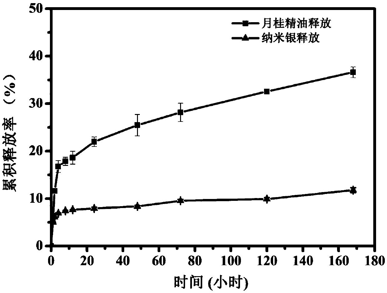 Bay oil and nano-silver embedded liposome/chitosan antibacterial and antioxidant coating liquid as well as preparation method and application thereof