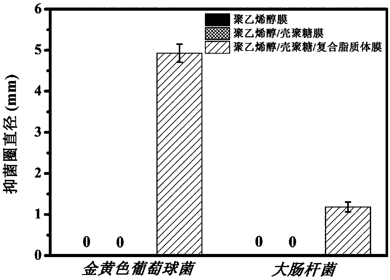 Bay oil and nano-silver embedded liposome/chitosan antibacterial and antioxidant coating liquid as well as preparation method and application thereof