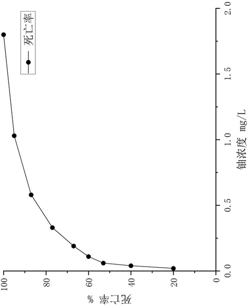 Method for evaluating ecotoxicity of uranium by utilizing ostracoda