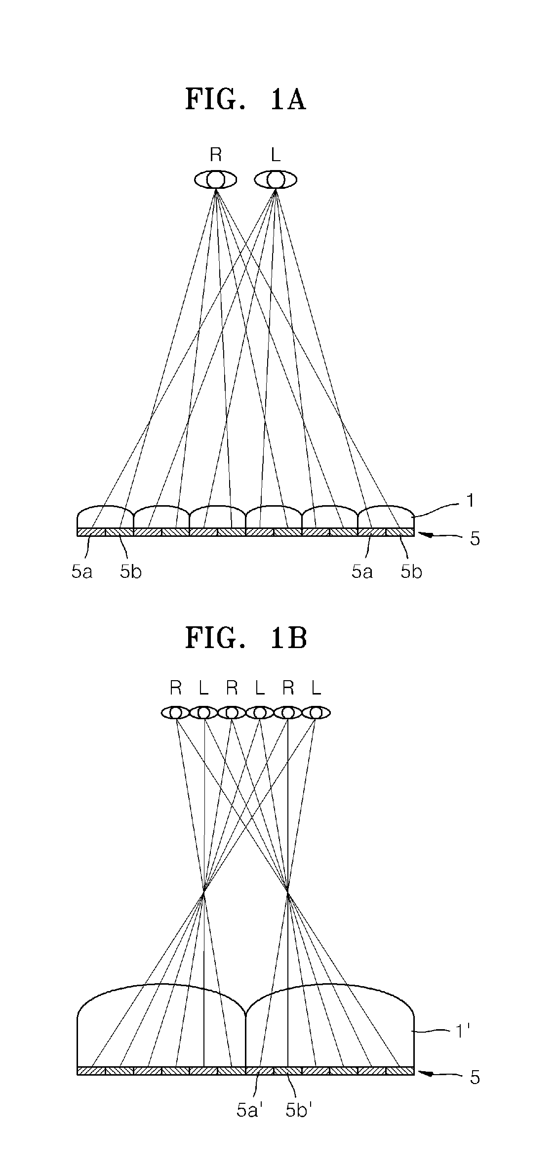 Three dimensional image display apparatus