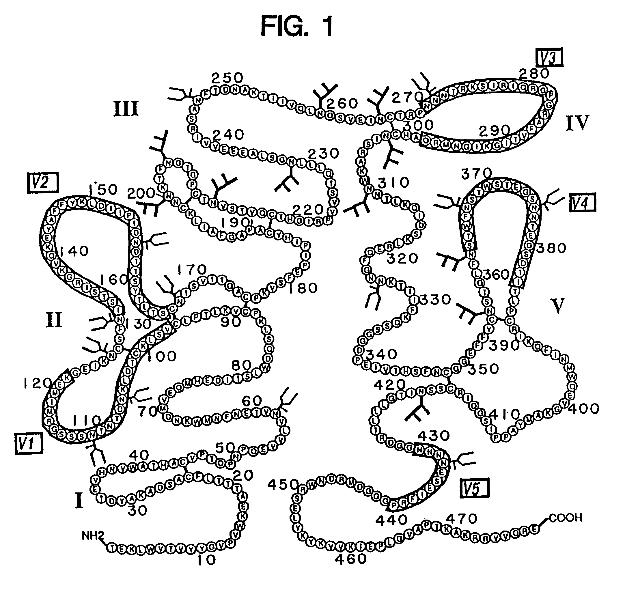 HIV env antibodies