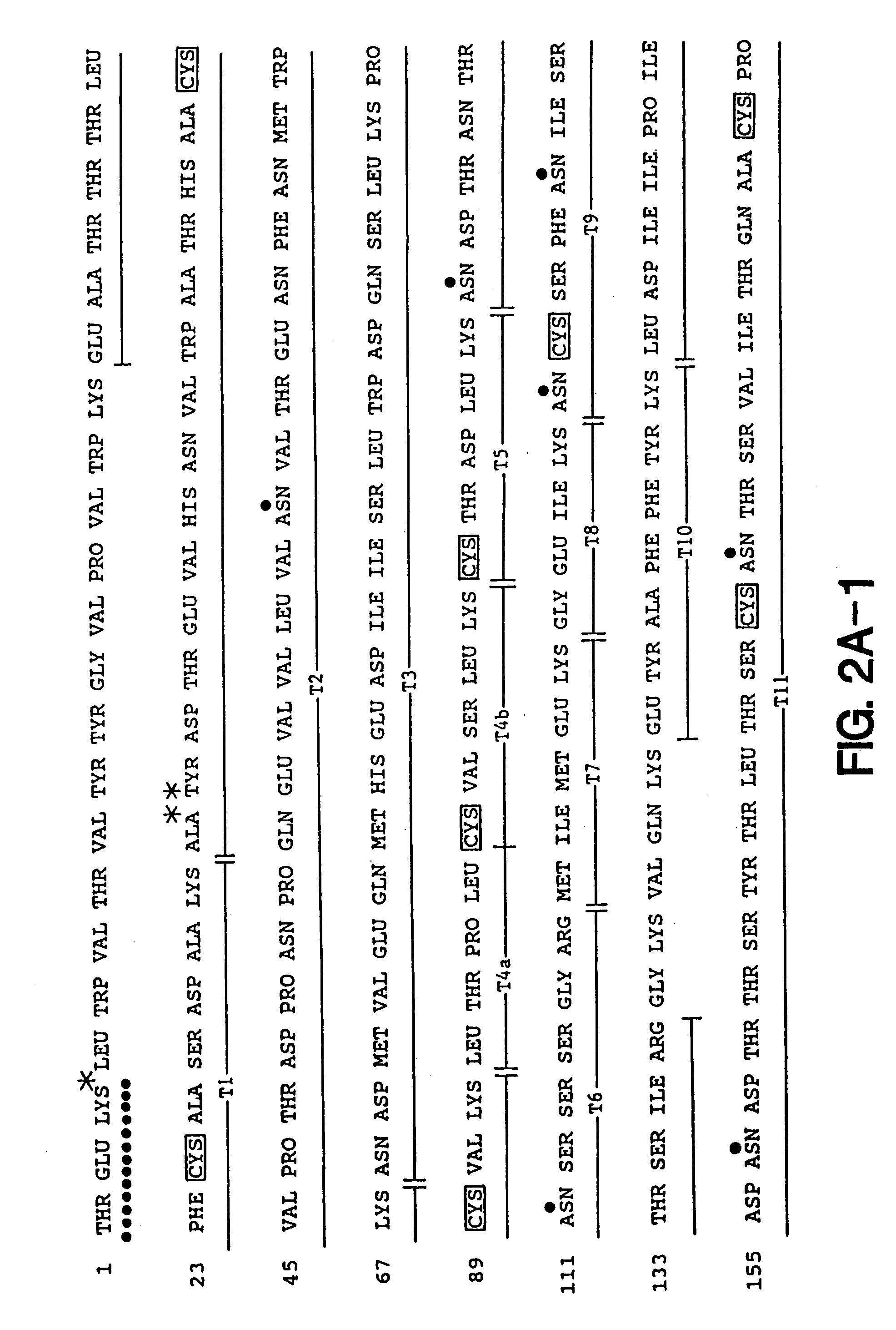 HIV env antibodies