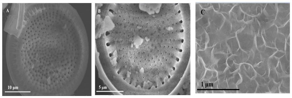 Composite material formed by loading basic magnesium carbonate on surface of diatomite, and method for fixing lead in soil