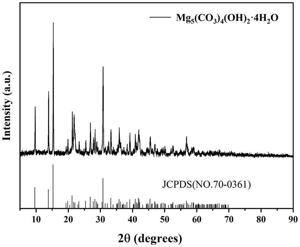 Composite material formed by loading basic magnesium carbonate on surface of diatomite, and method for fixing lead in soil