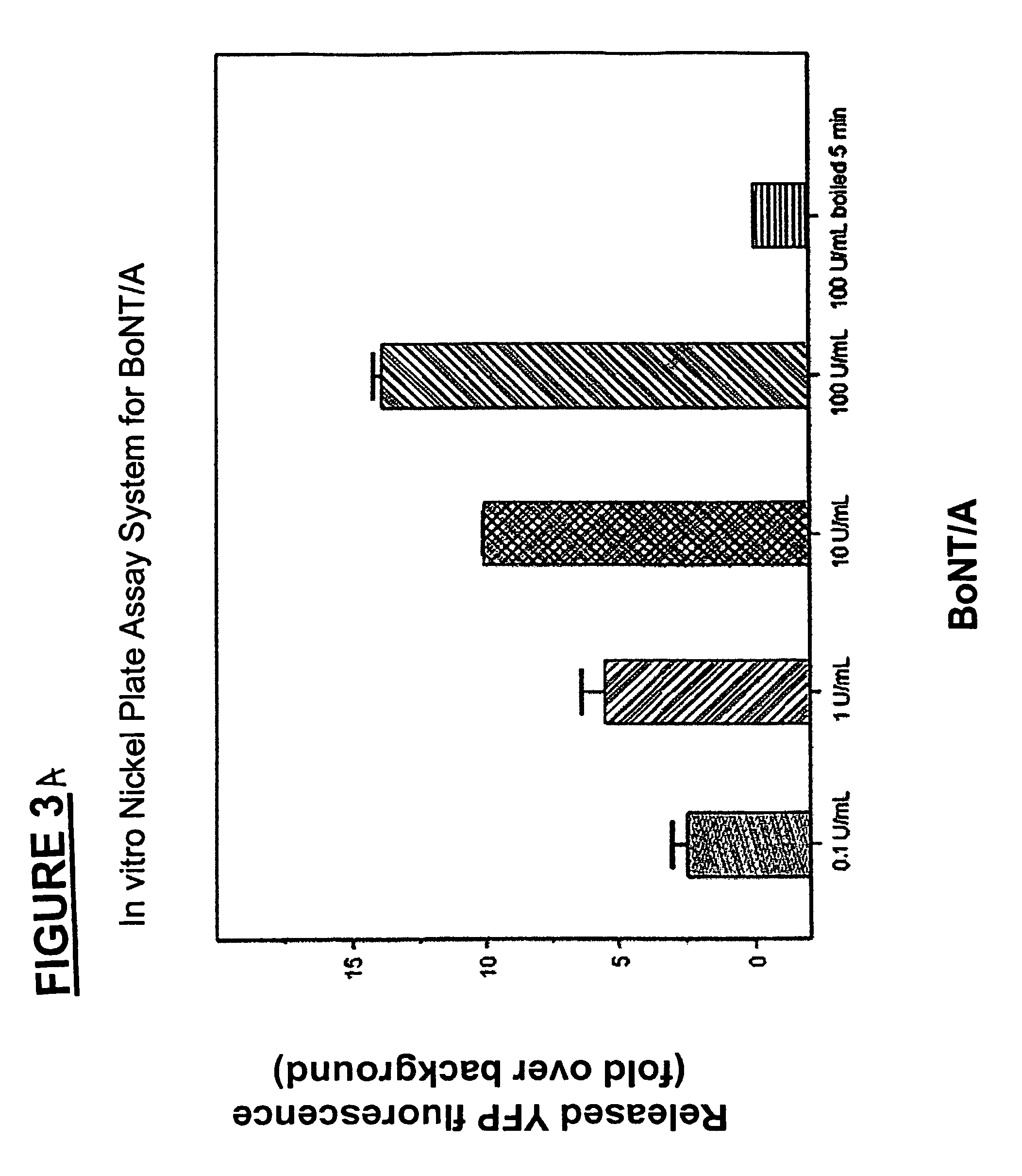 Methods for identifying inhibitors of botulinum neurotoxins