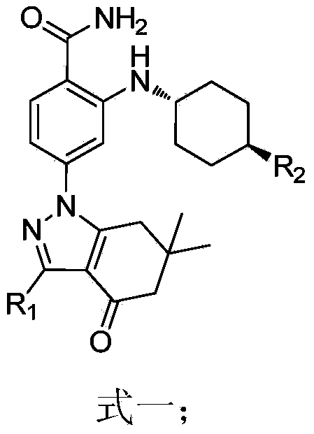 Application of Hsp90 inhibitor in preparing tumor multi-drug resistance reversal agents