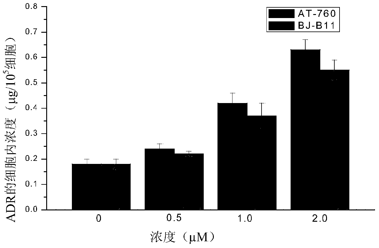 Application of Hsp90 inhibitor in preparing tumor multi-drug resistance reversal agents