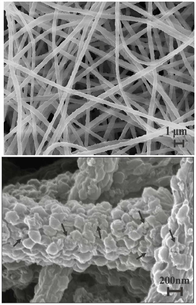 Preparation method and application of immobilized photocatalyst PVDF-TiO2@g-C3N4 fiber pad