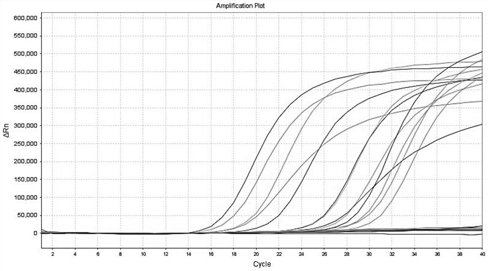 Method, oligonucleotide and kit for HBV genotype detection