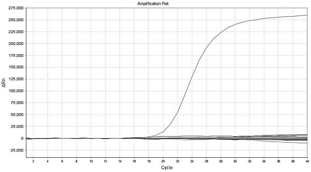 Method, oligonucleotide and kit for HBV genotype detection