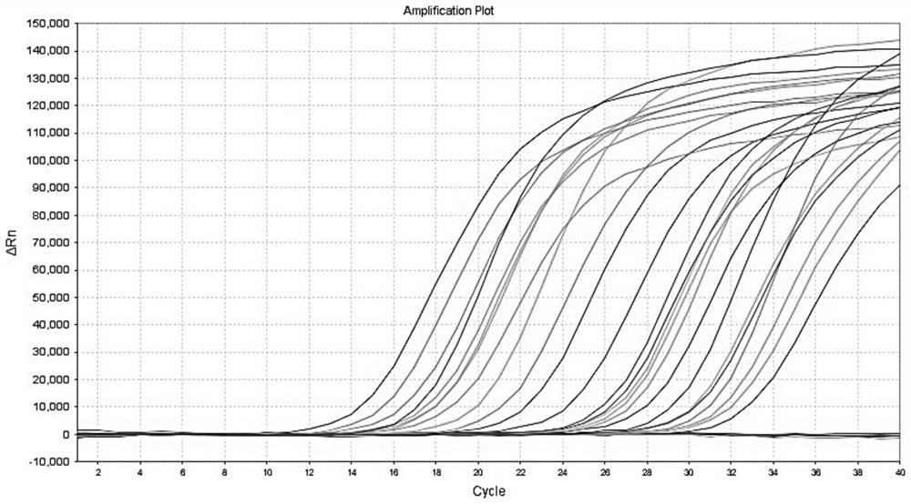 Method, oligonucleotide and kit for HBV genotype detection