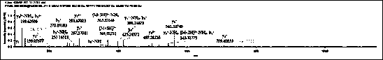 Polypeptide targeting novel coronavirus COVID-19 and application of polypeptide