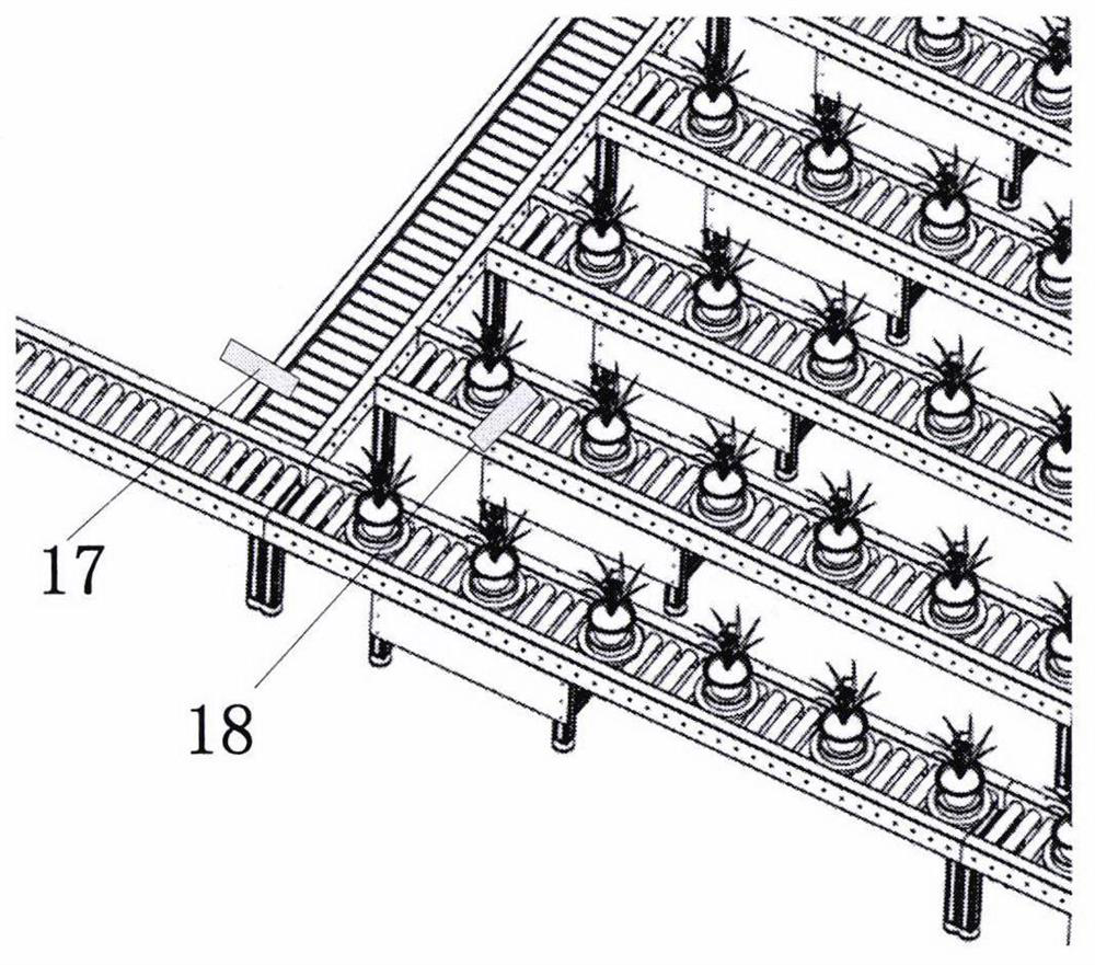 Device and method for non-destructive measurement of three-dimensional traits of rice plants and roots