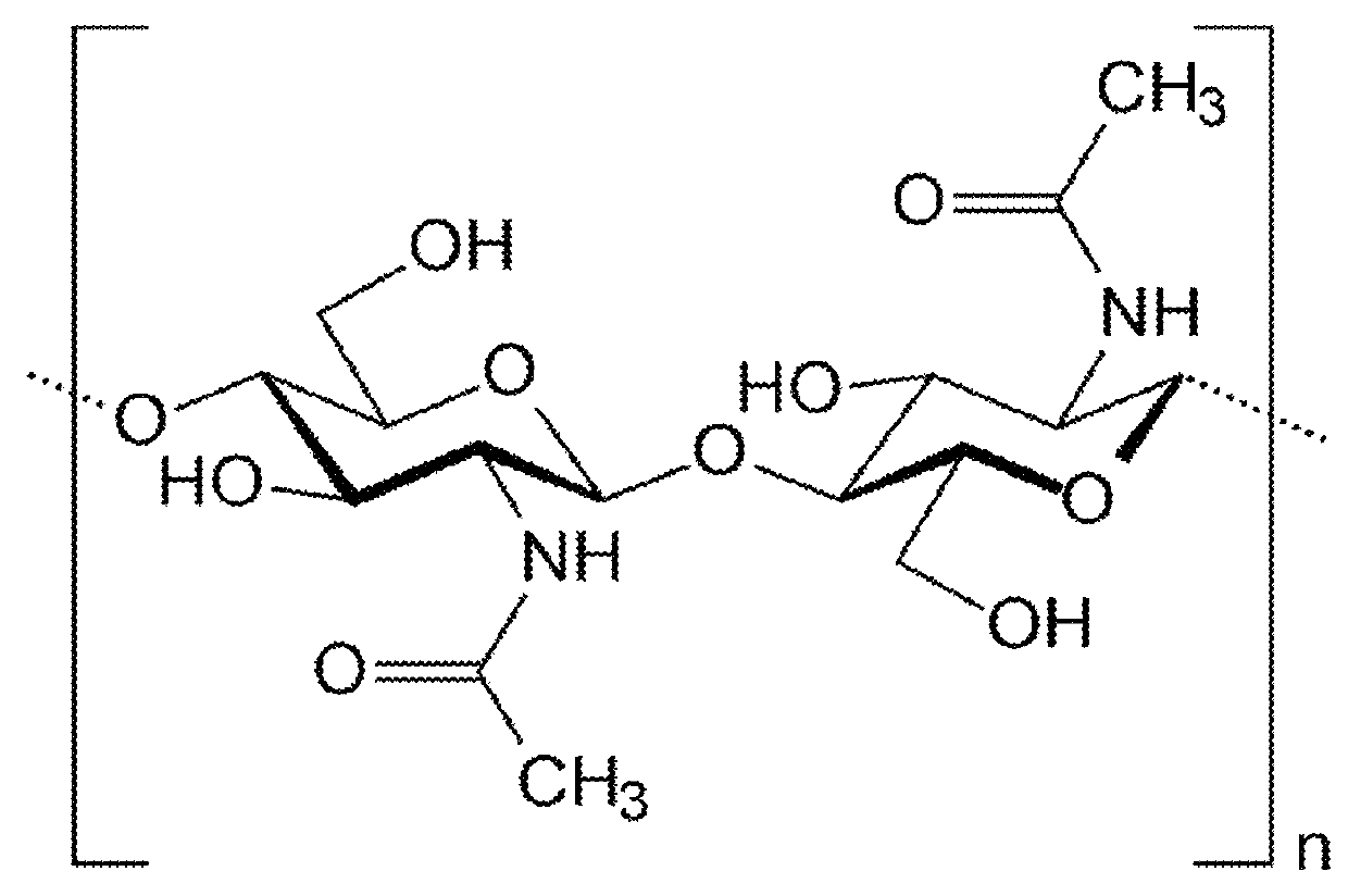 Processes for isolating chitin and chitosan from fungal biomass